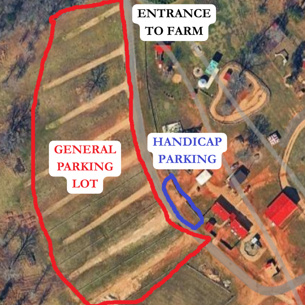 Parking Overview and Location of Handicap Parking