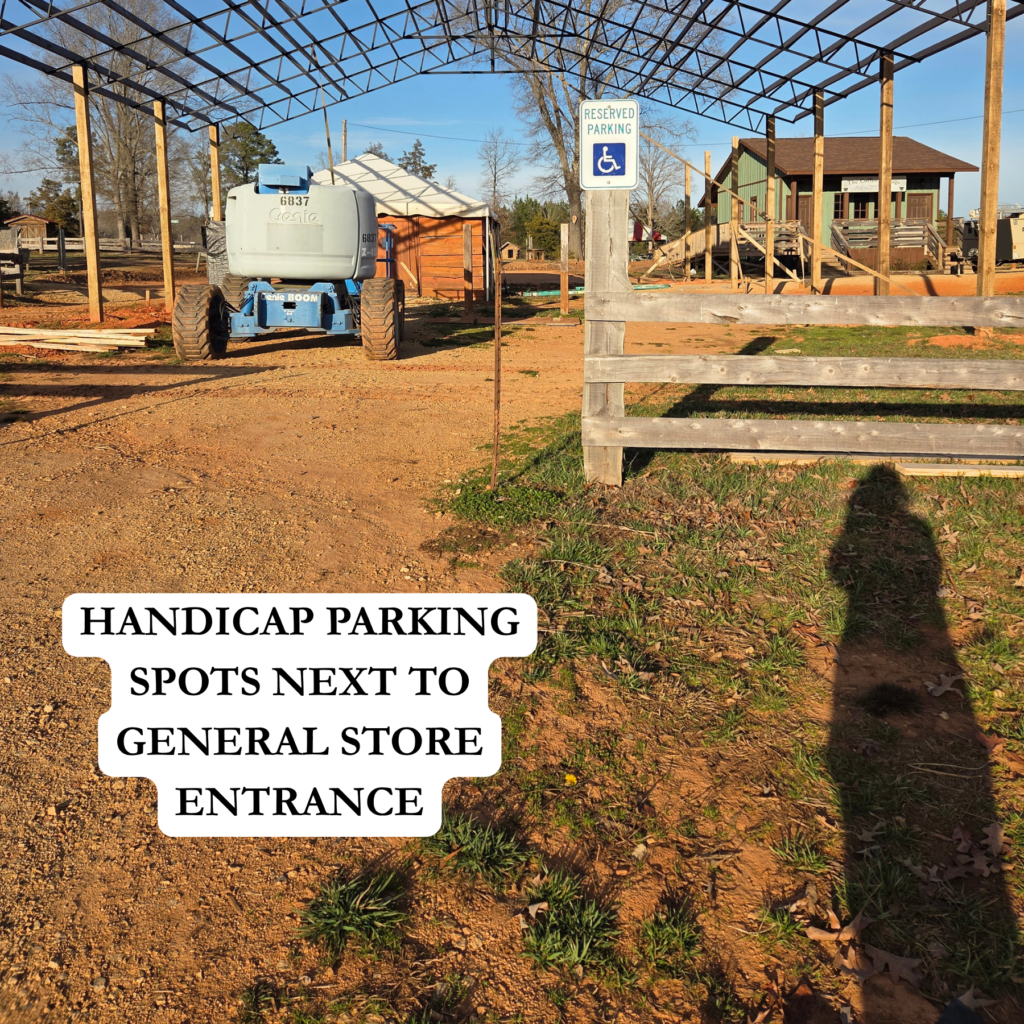 Handicap Parking Lot