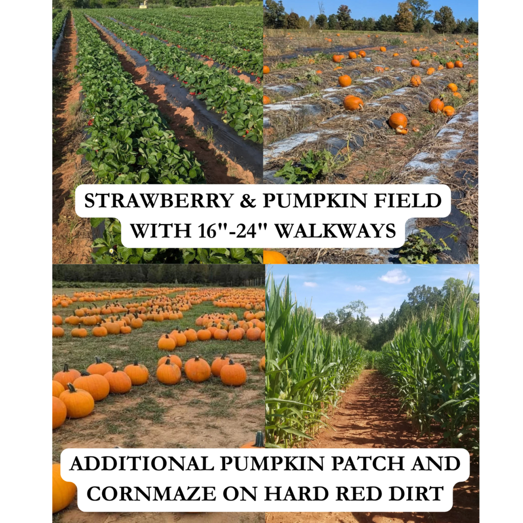 What to expect in our fields